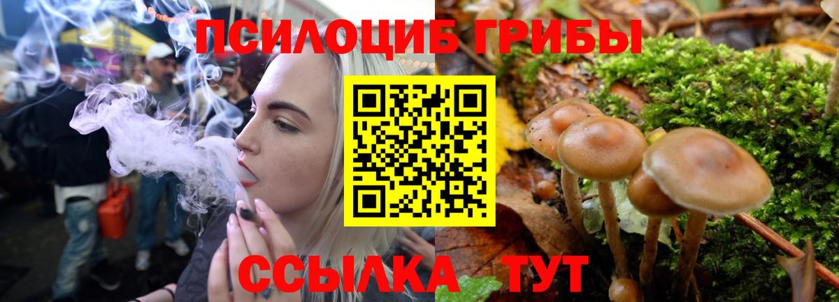 Россошь  Псилоцибиновые грибы Psilocybe  Вход с VPN 