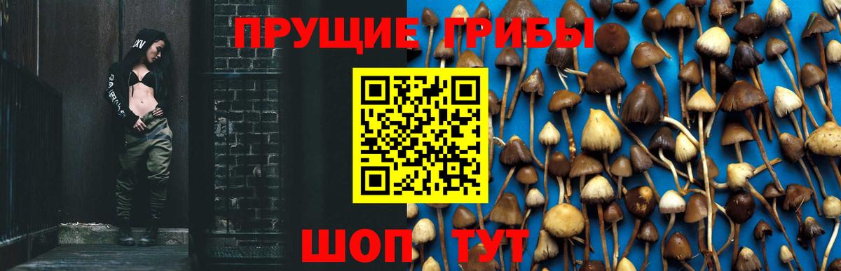 МЕФ кристаллы  Вход с VPN  Россошь  Экстази  Гашиш  Марихуана  Купить наркотик  Cocaine 